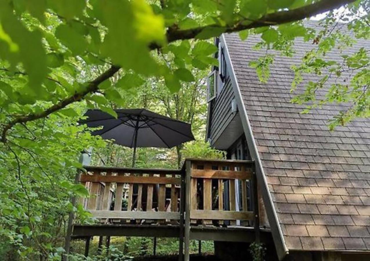 Chalet Sequoia 138 A Durbuy Dış mekan fotoğraf